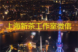 上海的马术活动及参与建议