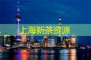 无声的夜：灯光与环境交织的美
